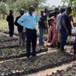 Community Tree Planting Project