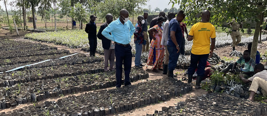 Read more about the article Community Tree Planting Project
